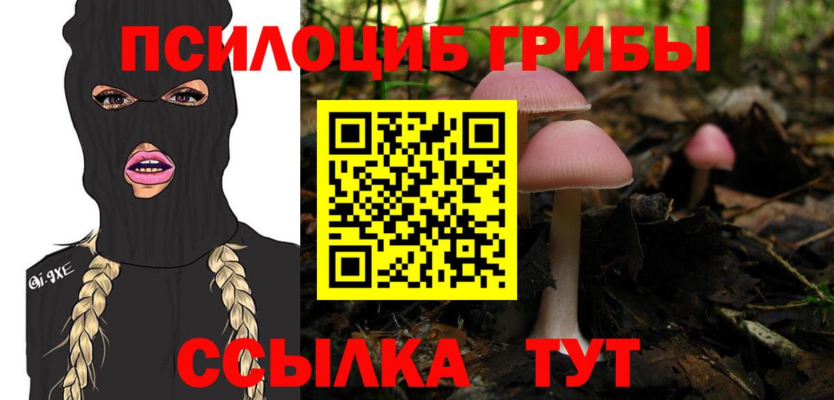 Псилоцибиновые грибы GOLDEN TEACHER Родники